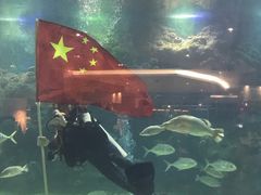 -三亚亚龙湾雅高美爵酒店