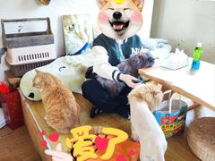 -小时光咖啡馆(开森度假森林店)