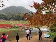 -广州市石门国家森林公园
