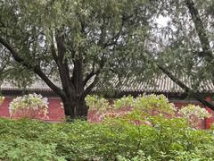 -北京市劳动人民文化宫(太庙)