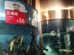 -蜀滋香鲜鱼美蛙火锅(339店)