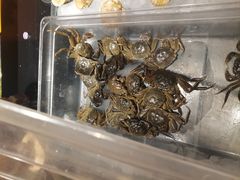 -新希望诺富特酒店-青岛湾中餐厅