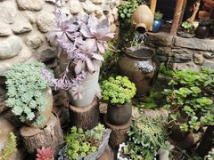 -尽善百年古院餐厅(王家老宅店)