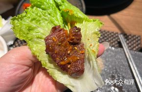 Premium Beef Tenderloin with Plum Pattern
