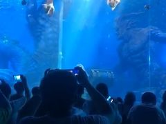 -波塞冬旅游度假区