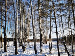 -北极村旅游风景区