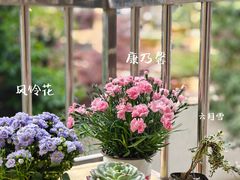 -桂林市花鸟市场