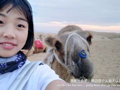 -银肯塔拉沙漠生态旅游景区