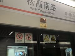 -杨高南路(地铁站)