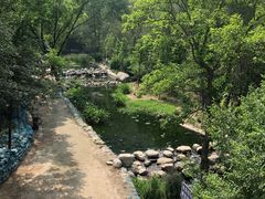 -白水寺森林公园