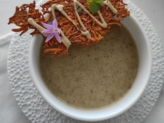 蘑菇汤-蝶舍·MAISON PAPILLON