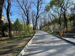 -望溪公园