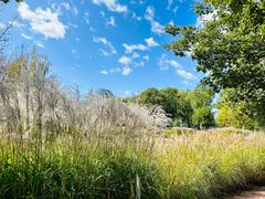 -野鸭湖国家湿地公园