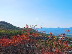 -鬼笑石后山停车场