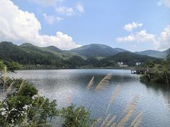 -梁野山景区