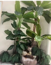-健身堂科技美肌SPA