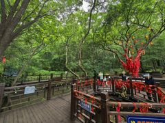 -五女山景区