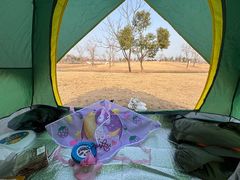 -上海滨江森林公园