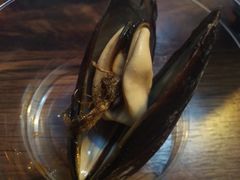 -土蚝·高压锅生蚝(百姓美食街店)