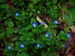 -苏州河梦清园环保主题公园