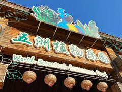 -南宫五洲植物乐园