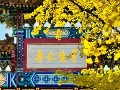 -雍和宫