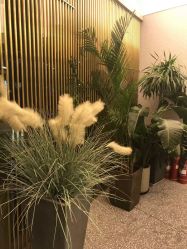 -3AM·S HAIR SALON烫发染发接发
