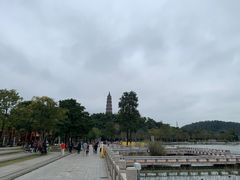 -顺峰山公园
