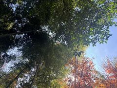 -莫干山风景区