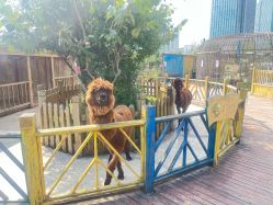 -三分地生态园·儿童乐园