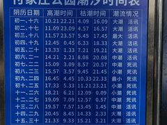 -傅家庄公园