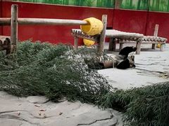 -杭州野生动物世界