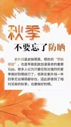 -凡碧诗毛孔收细