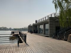 -大兴滨河森林公园