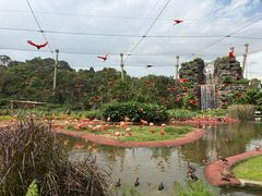-新加坡飞禽公园