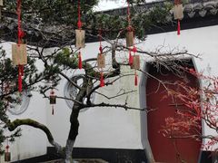 -东山雕花楼