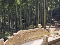 -莫干山风景区