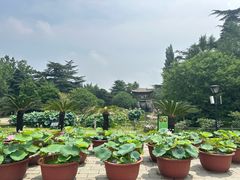 -国家植物园南园