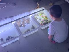 -华声天桥民俗文化园