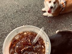 -桤木河湿地公园