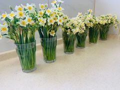 -万达广场(松江店)