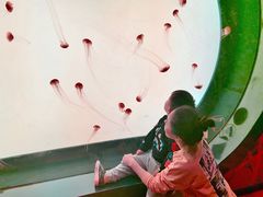 -沈阳海洋探索中心