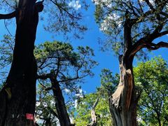 -北京上方山国家森林公园