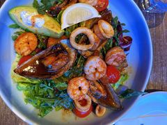 -bluefrog蓝蛙(石家庄欢乐汇店)