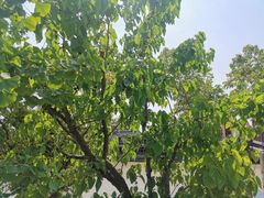 -丝绸小镇荻港古村