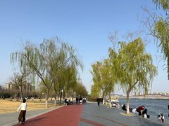 -咸阳湖景区