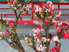 -陶然亭公园