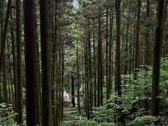 -上色见熊野座神社
