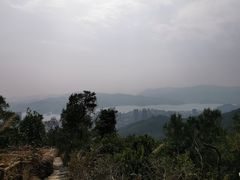 -梧桐山风景名胜区