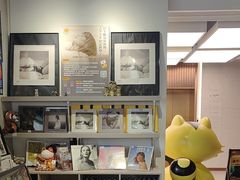 -浣熊唱片店(上海影城店)